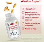 ANDREW LESSMAN Coenzyme Q-10 300 mg 240 Capsules - Essential for Energy Production and Optimum Key Organ Function, Anti-Oxidant Support, Depleted by Aging, Plus B-Complex. Easy to Swallow Capsules