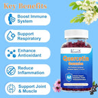2 Pack Quercetin with Bromelain Gummies, Quercetin with Vitamin C Zinc & Elderberry for Immune System & Allergy, Chewable & Vegan Gummies, Mixed Berry Flavor 120 Cts