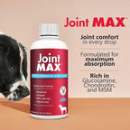 Liquid for Dogs – Glucosamine Chondroitin MSM Hip & Joint Supplement Liquid with Organic Turmeric – All-Natural Dog Joint Support Oil for Mobility, Arthritis, Skin & Coat – 32 fl oz