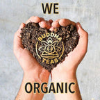 Buddha Teas Organic Maca Tea - OU Kosher, USDA Organic, CCOF, 18 Bleach-Free Tea Bag