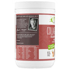 Primal Kitchen Hazelnut Collagen Creamer Powder, Collagen Peptide Drink Mix with MCT Oil,10.34 Ounces