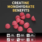 Nutravita Creatine Monohydrate Gummies for Men & Women-5g of Creatine Monohydrate per Serving - Sugar Free,Vegan, Raspberry Flavor, 120 Count