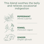 Traditional Medicinals Tea, Organic Belly Comfort Peppermint, Promotes Healthy Digestion, 16 Tea Bags