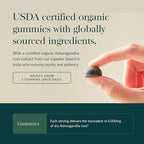 Gaia Herbs Organic Ashwagandha Gummies - Stress Support* - Made with Cinnamon & Ginger - Gluten Free & Vegan - 45 Count (15 Servings)