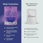 Mojo Focus Gummies w/Lion’s Mane, Panax Ginseng, Ginger Root, Cordyceps, Brain Supplement Memory/Focus Support Adults Nootropic Mushroom Gummies, Blueberry Lavender, Regular Strength (1 Pack)