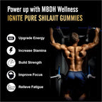 Pure Himalayan Shilajit Gummies – 75%+ Fulvic Acid, High Potency Gold Grade – Blend for Energy, Vitality & Immune Support, Travel - Friendly, Tamarind Flavor – 60 Gummies