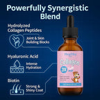 Premium Liquid Collagen for Dogs - Skin & Coat Supplement with Hyaluronic Acid & Biotin, Supports Joint Health, Mobility & Hydration for All Dogs, Bacon Flavor - 2 fl oz (2)