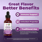 MARYRUTH'S Elderberry Liquid Drops for Adults & Kids | Immune Support | Antioxidant | Overall Wellness | Elder Berry Extract | USDA Organic | Sugar Free | Vegan | Non-GMO | Gluten Free | 1 Fl Oz