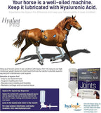 Hyalogic Hyaluronic Acid for Horses 90 Day Supply Easy Oral Tip Dispenser - Liquid HA Supplement for Equine Joints and Cartilage Support - Hyalun Pro - 9 oz / 296 ml