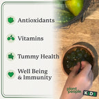 WonderGreens Kids Super Veggie Gummies – Sugar-Free, Allergen-Free Multivitamin for Picky Eaters with Probiotics – Tummy & Immune Support – Green Apple Flavor (30 Count)