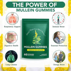 Mullein Gummies for Lung Cleanse 60 Count - Mullein Leaf Extract Gummies with Chlorophyll - Natural Herbal Supplement for Lung Cleanse, Respiratory Support, Boosts Immunity, Digestive Wellness