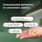 Metagenics CandiBactin‑BR - Concentrated Berberine for Intestinal Support* - 400 mg Berberine HCl per Serving with Oregon Grape & Coptis Root* - Supports Gut Health & Microbial Balance* - 90 Tablets