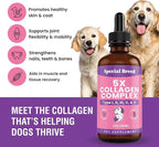 Premium Collagen for Dogs - Liquid Support for Joints, Skin, Coat, Bone, Immune System & HIPS - Collagen Supplement - Made in USA - 4oz