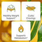 Plant People WonderBurn Metabolism & Cravings Control Gummies, Zero Sugar, Ripe Mango Flavor (60 Count)