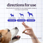 Premium Glucosamine For Dogs – Advanced Hip & Joint Supplement With Glucosamine Chondroitin For Dogs Flexibility, Mobility & Relief – Hip & Joint Supplement With Collagen & MSM – 120 Chews
