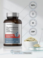 Horbäach Glucosamine HCL | with Hyaluronic Acid | 2000mg | 120 Coated Caplets | Non-GMO & Gluten Free Supplement