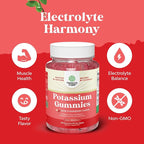 High Potency Potassium Gummies for Adults - Powerful Potassium Supplement Gummies for Optimal Health - Delicious Strawberry-Flavored - Vegan - 120 Count