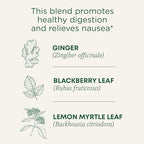 Traditional Medicinals Tea, Organic Ginger Aid, Promotes Healthy Digestion, 16 Tea Bags