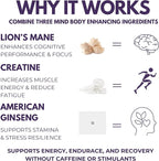 Pre-Workout Supplement - Focus & Performance Stack with Lion’s Mane, Creatine, American Ginseng & Beta-Glucans – Natural Energy & Endurance Without Caffeine - 120 Vegan Capsules