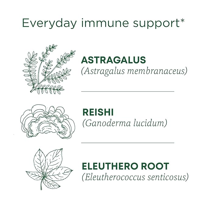Traditional Medicinals Organic, Stress Ease Immune with Adaptogens, Reishi Warming Spice - Immune Support with Astragalus - Kosher, Non-GMO, Caffeine-Free, Compostable - 16 Count (Pack of 2)