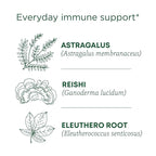 Traditional Medicinals Organic, Stress Ease Immune with Adaptogens, Reishi Warming Spice - Immune Support with Astragalus - Kosher, Non-GMO, Caffeine-Free, Compostable - 16 Tea Bags