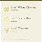 Bach Original Flower Remedies, Clarity of Mind Kit, For Focus and Mindfulness, Natural Homeopathic Flower Essence, Holistic Wellness, Vegan, 3 x 20mL Droppers