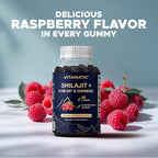 Vitamatic Shilajit with KSM-66® Ashwagandha & Ginseng Extract Gummies – Natural Raspberry Flavor – 60 Vegan Gummies - Made in USA
