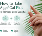 ALGAECAL Organic Red Algae Calcium Supplement for Bone Density, Vitamin K2 MK7 (100mg), Vitamin D3 (1600 IU), Magnesium (350mg) & Trace Minerals & Strength, Easy to Swallow, 120 Veggie Caps
