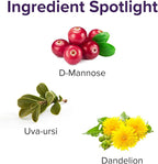 Vibrant Health, U.T. Vibrance Stick Packs, Crisis Intervention for Urinary Tract Health, 10 Servings