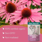 Organic Echinacea Herb (10oz.) – Echinacea Purpurea Tea Loose Leaf - Equinacea Organica - Body Defenses, Immune Support Tea