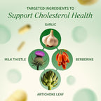 Snap Supplements Cholesterol Health - Artichoke, Milk Thistle, Garlic, and Berberine Supplement with Beta Sitosterol (95% Plant Sterols) for Digestive and Metabolic Support, 60 Capsules (30 Servings)
