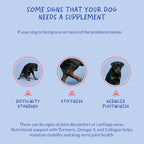 Turmeric Curcumin for Dogs - 90 Soft Chews - with Collagen, BioPerine and Fish Oil - Hip & Joint Support, Ease Inflammation, Antioxidant.
