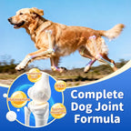 Senior Dog Liver & Joint Supplement – Same, Milk Thistle (Silybin), Glucosamine, MSM for Liver Health Detox, Mobility, Joint Pain Support, Cognitive & Vitality Support, Beef Flavor, 90Ct