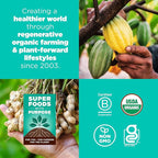 Navitas Organics Salted Peanut Chocolate Superfood+ BITES – Power Snacks – All Natural Plant Based – Clean Energy & Nutrition – USDA Organic, Non GMO, Gluten Free, Kosher, Vegan (8oz. Bag 11 Servings)