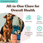 Natural Dog Company Skin & Coat Supplement Chew for Dogs – Omega 3 Salmon Oil, Biotin & Vitamin E Support Shiny Coat, Healthy Skin & Normal Shedding, Promotes Comfort from Occasional Itch, 180 Count