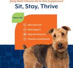 NaturVet All-in-One Dog Supplement - for Joint Support, Digestion, Skin, Coat Care – Dog Multivitamins with Minerals, Omega-3, 6, 9 – Wheat-Free Vitamins for Dogs – 120 Soft Chews