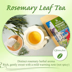 WT WEETEE Rosemary Leaf Tea Bags 100 Count,100% Caffeine-Free Herbal Tea Made from Pure Rosemary Leaves, Supports Digestion & Antioxidants