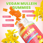 2PACK 3000MG Mullein Gummies, Extra Strength Mullein Leaf Extract with Quercetin, Bromelain for Lung Detox & Immune Support, Mango Flavor, 120 Count