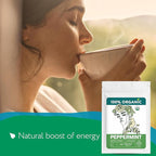 Organic Peppermint Tea Bags (40 TeaBags) - Peppermint Tea Organic - Te de Menta Organico Natural - Herbal Tea for Energy, Digestion, Nausea, Motion Sickness, Respiratory Support, Stress Relief