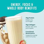 FlavCity All in One Protein Shake Powder Packets - On the Go Meal Alternative + 25g Protein & 10g Collagen, Made with Organic Reishi & Cordyceps Mushrooms - No Added Sugars, Variety 10 Pack