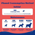 Dog UTI Treatment - 180 Dog Bladder Control Chews, Cranberry Supplement for Urinary Tract Health, Cranberry Chews for Dogs, Duck & Pear Flavor