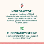 NEURIVA Original Brain Supplement for Memory, Focus & Concentration with Clinically Tested Nootropics Phosphatidylserine and Neurofactor, Strawberry Flavor, 50 Gummies (2 Pack)
