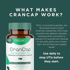 Cranberry Pills - Urinary Tract Health Cranberry Supplement - 36mg of Potent PACs - Non GMO, Vegan, Gluten Free - by Heale - 120 Capsules