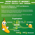 5-HTP 400MG Gummies + GABA - Melatonin Free - Relaxation Gummies with Banana Extract, L-Theanine, Turmeric, L-Tryptophan, D3 for Healthy Rest Cycle, Circadian Rhythm, Brain & Muscle Relax, Pack of 2