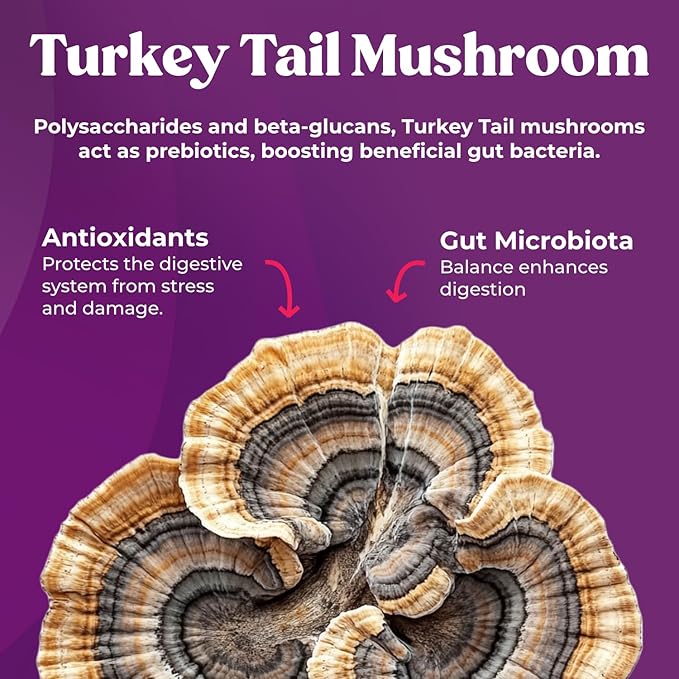 Fungiments Super Prune - Mushroom Supplement - Turkey Tail Mushrooms, Fiber, Rhubarb, Prunes, Ginger, Chamomile - Debloating, Constipation Relief (30 Mushroom Gummies)