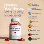 The Nerve Brand Neuropathy Support Gummies, 600 mg R Alpha Lipoic Acid Gummies with B1 B6 B12 and Lion’s Mane, Sugar Free Daily Nerve Health Supplement, 30 Day Supply