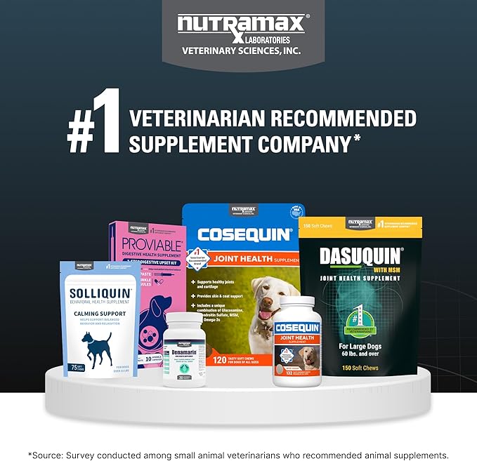 Nutramax Dasuquin for Small to Medium Dogs, Joint Health Supplement, Contains Glucosamine for Dogs, Plus Chondroitin, ASU, MSM and More, Supports Healthy Joints, Soft Chews, 42 Count