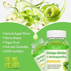 2 Pack Ginkgo Biloba Gummies 240MG with Panax Ginseng for Better Mood and Focus, Booster Brain Health, 120 Vegan Apple Flavor Gummies