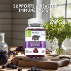 HERBION Elderberry Gummies with Vitamin C & Zinc, Healthy Immune System Support, Gluten-Free & Gelatin-Free, 60 Gummies for Adults & Children 4 Years & Above, Made in USA, Pack of 2