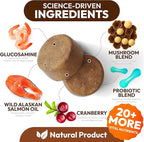 Turkey Tail Mushroom for Dogs - 170 Chews - Lion’s Mane - Shiitake - Reishi - Buddy Immune Support Guard - Mushroom Supplement for Dogs Lumps and Bumps Glucosamine, Health Vitamins Multivitamin